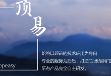 顶易公司简介-图灵搜